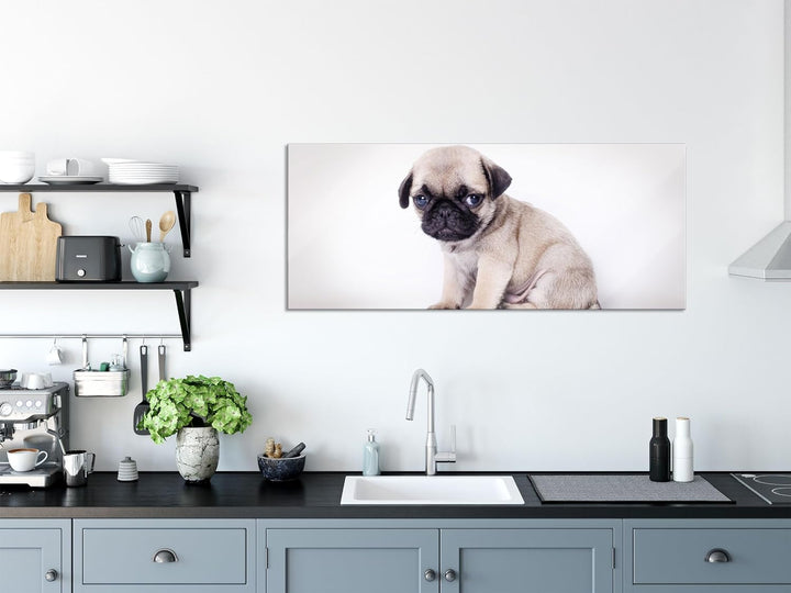Glasbild Panorama | Wandbild aus Echtglas | Kleiner Hundewelpe Mops | 100x40 cm | inkl. Aufhängung u