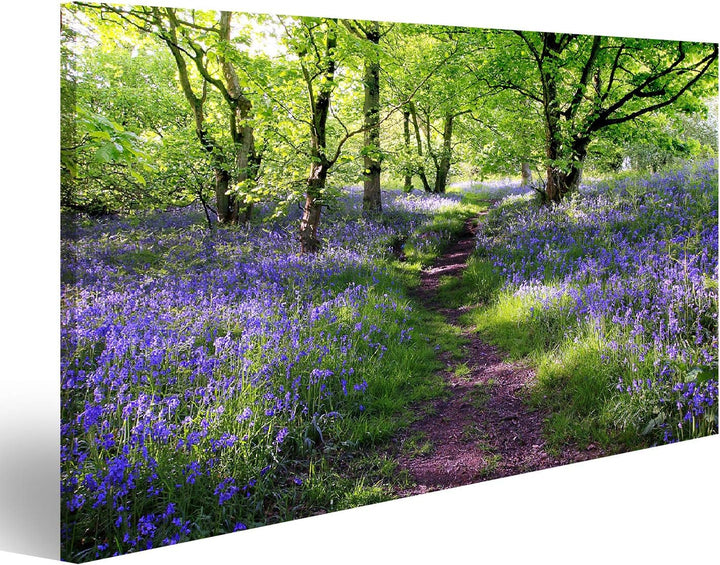 islandburner Bild auf Leinwand Blaue Glocken Blumenwiese In Schottland Bilder Wandbilder Poster Lein
