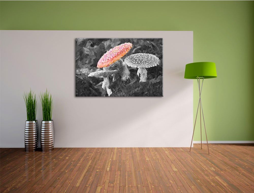 prächtige Fliegenpilze auf Waldboden schwarz/weiss Deluxe Format: 100x70 cm auf Leinwand, XXL riesig