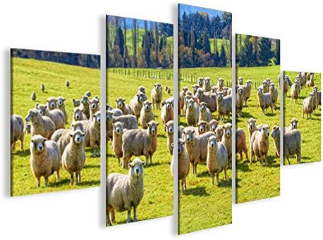 islandburner Bild Bilder auf Leinwand Schafherde Schafe auf Wiese MF XXL Poster Leinwandbild Wandbil