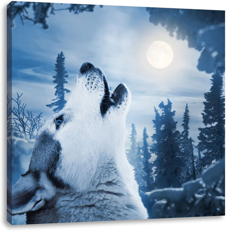 Pixxprint Wolf vor Mondlicht als Leinwandbild/Grösse: 70x70 cm/Wandbild/Kunstdruck/fertig bespannt,
