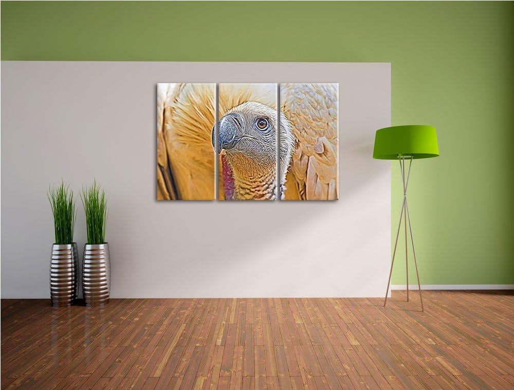 aussergewöhnlicher Geier NewArt 3-Teiler Leinwandbild 120x80 Bild auf Leinwand, XXL riesige Bilder f