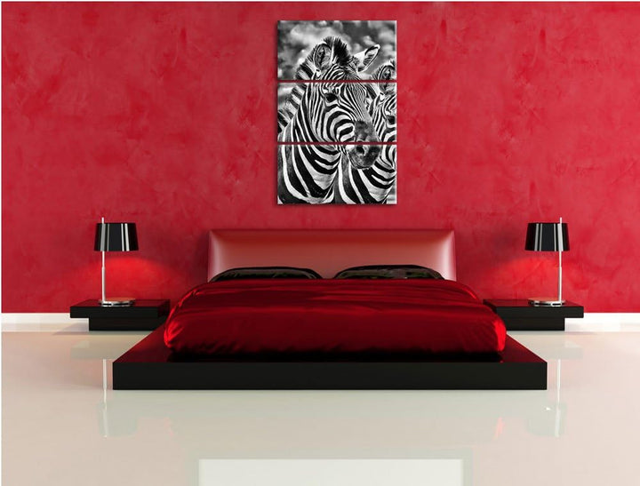 Pixxprint Zebra Pärchen als Leinwandbild/Grösse: 3 Teilig (120x80) cm/Wandbild/Kunstdruck/fertig bes