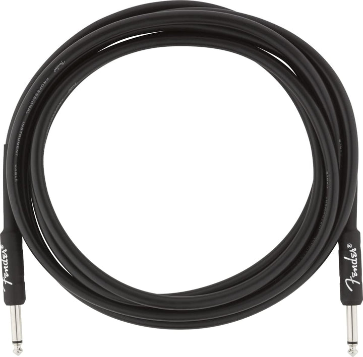Fender Frontman 10G Combo Gitarrenverstärker & Professional Series Instrumentenkabel – 10 ft / 3 m G
