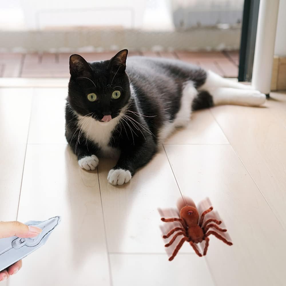 XiXiRan Ferngesteuerte Spinne Spielzeug, Ferngesteuerte Tarantel, Steuerspinne Spielzeug, Rc Spider,