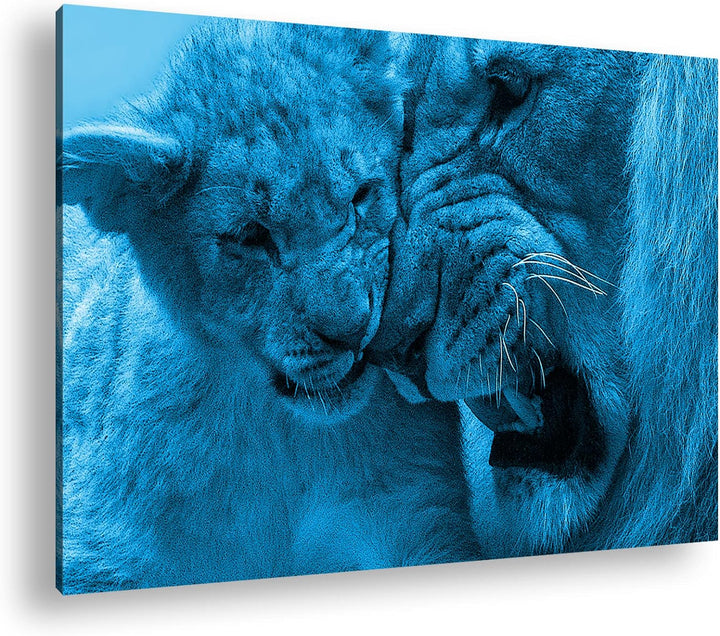 deyoli wilde Löwen Format 80x60 Effekt: Monocrome Blau als Leinwandbild, Motiv fertig gerahmt auf Ec