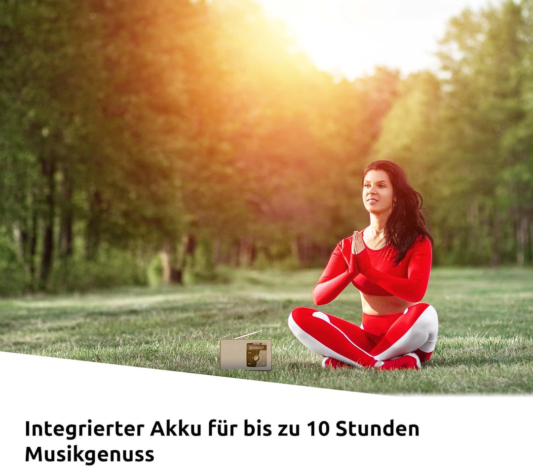 TechniSat DIGITRADIO 2 - Tragbares DAB+/UKW-Radio mit Akku (mit Bluetooth Audiostreaming, Weckfunkti