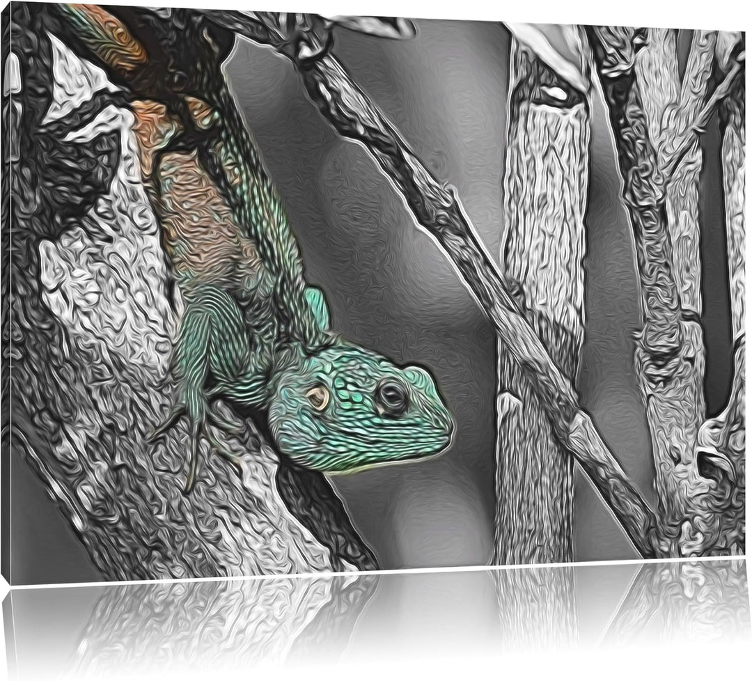 prächtiger Agama auf Baumast schwarz/weiss Deluxe Format: 100x70 cm auf Leinwand, XXL riesige Bilder