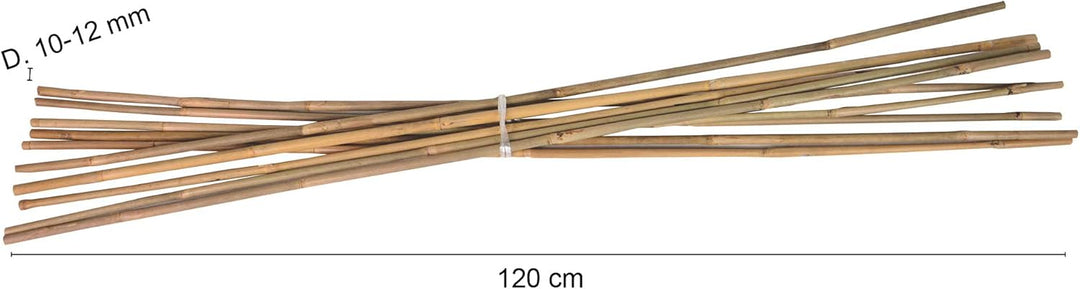 UNUS Bambusstäbe, Pflanzenstäbe zur Stabilisierung von Pflanzen im Garten, Rankstäbe Bambus 120 cm n