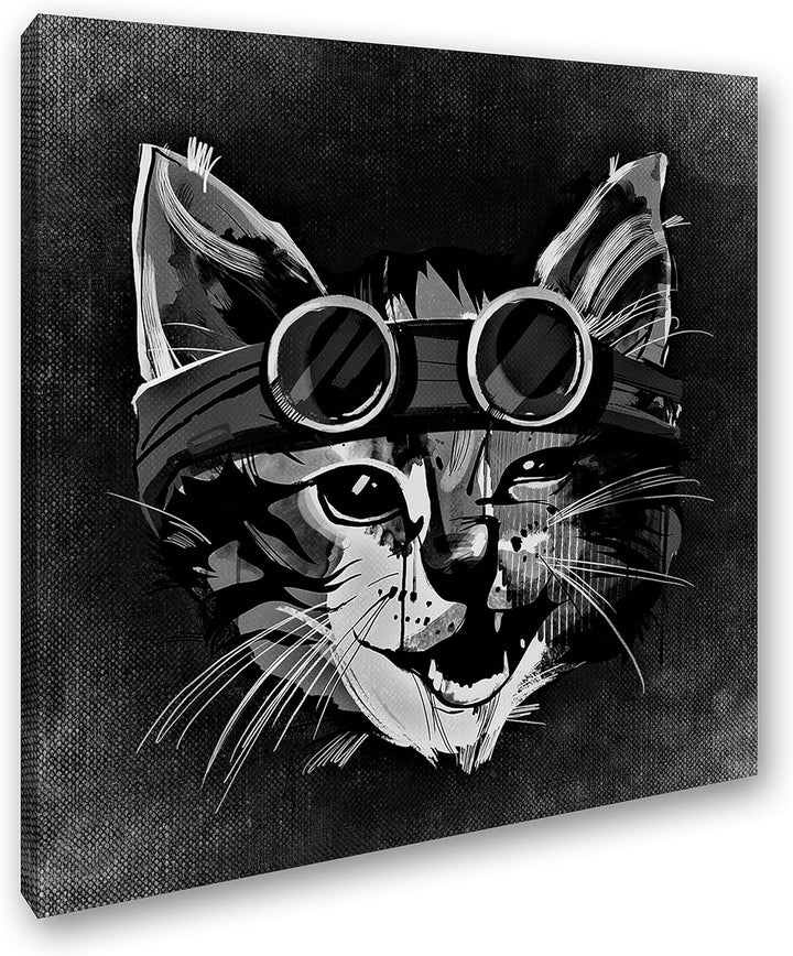 deyoli süsse Katze mit Einer Brille Format: 70x70 Effekt: Schwarz&Weiss als Leinwandbild, Motiv auf