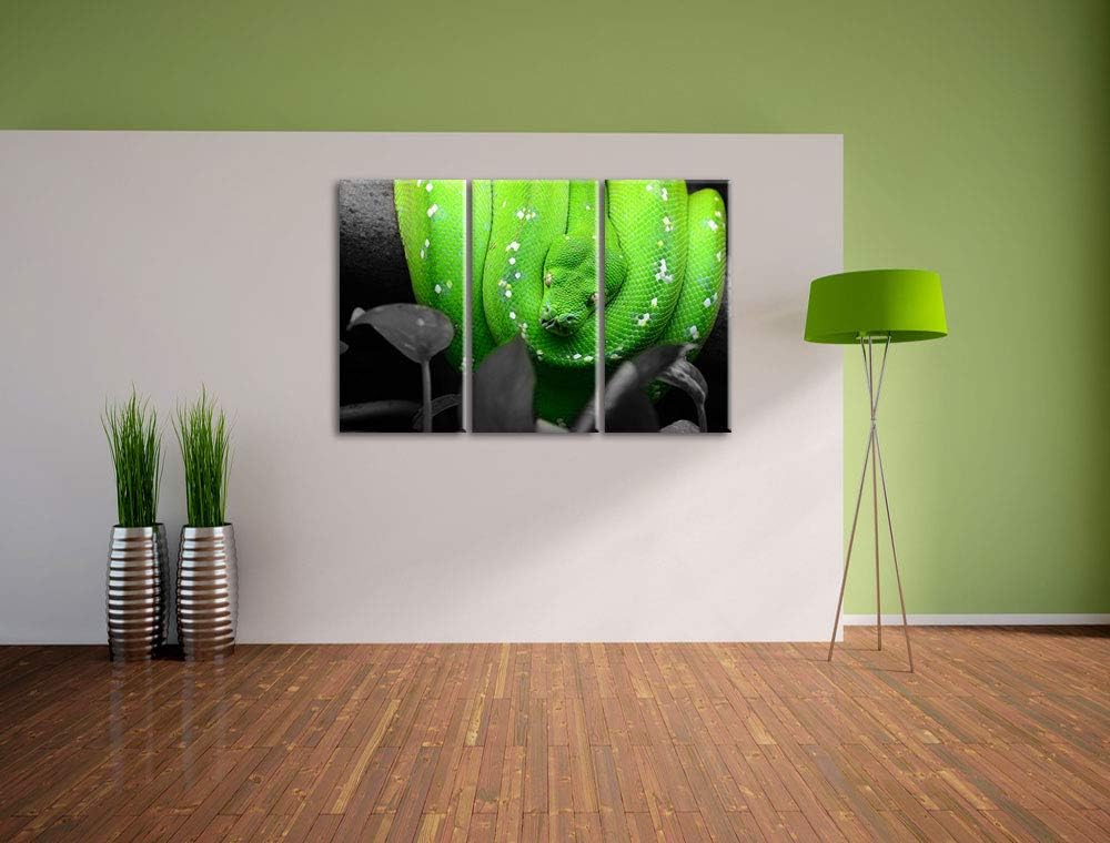 Giftige Grüne Schlange schwarz/weiss 3-Teiler Leinwandbild 120x80 Bild auf Leinwand, XXL riesige Bil