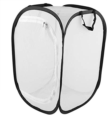 Insekten-Lebensraumkäfig Grosser Tragbarer Faltbarer, Haltbarer Mottenschmetterling Belüftete Tierzu