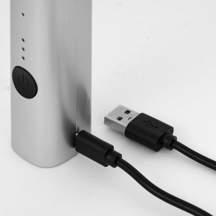 Bialetti Whipper, 3-stufig verstellbar, Doppelquirls, USB-Aufladung, Edelstahl
