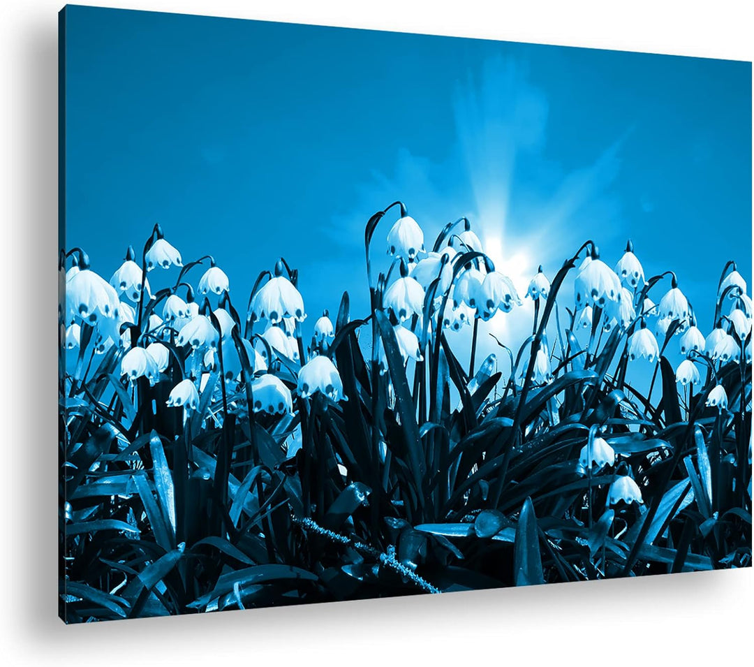 deyoli zauberhafte Schneeglöckchen Format: 80x60 Effekt: Monocrome Blau als Leinwand, Motiv fertig g