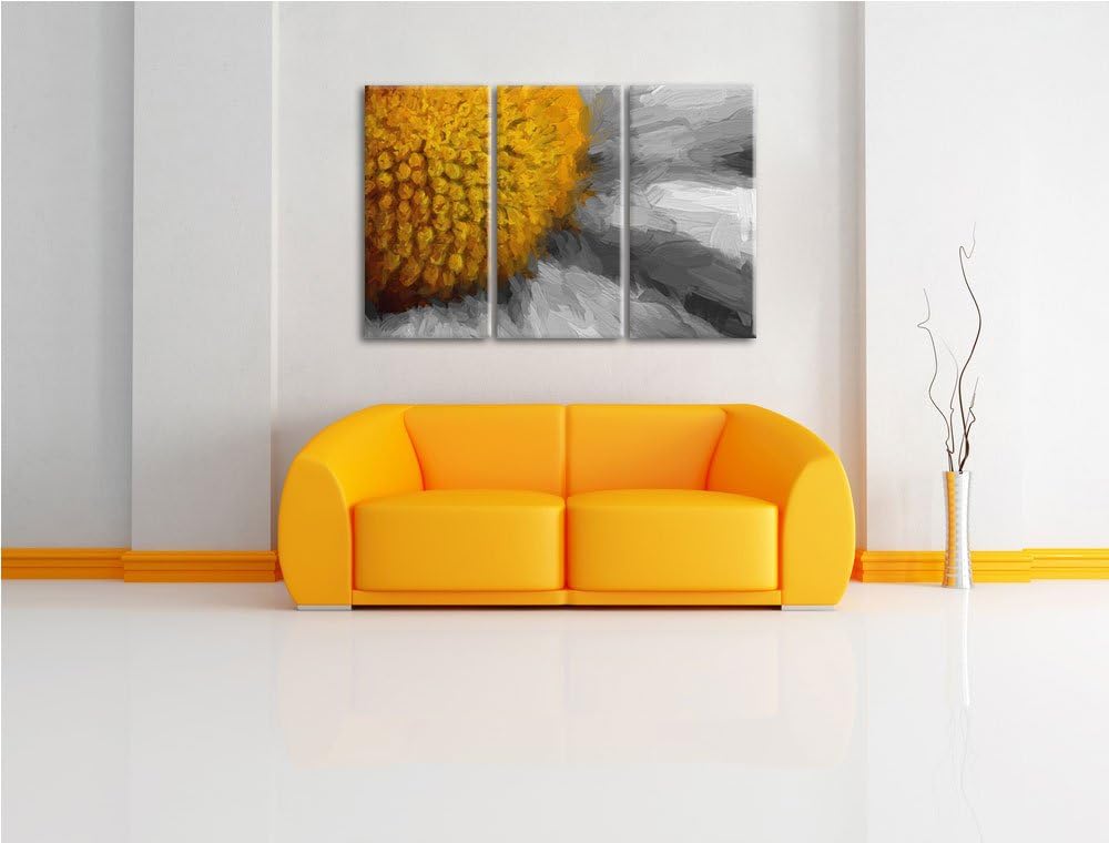 prächtige kleine Margerite schwarz/weiss Spezial 3-Teiler Leinwandbild 120x80 Bild auf Leinwand, XXL