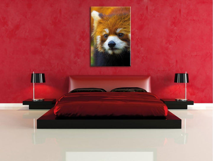 Roter Pandabär auf Ast, Format: 100x70 auf Leinwand, XXL riesige Bilder fertig gerahmt mit Keilrahme