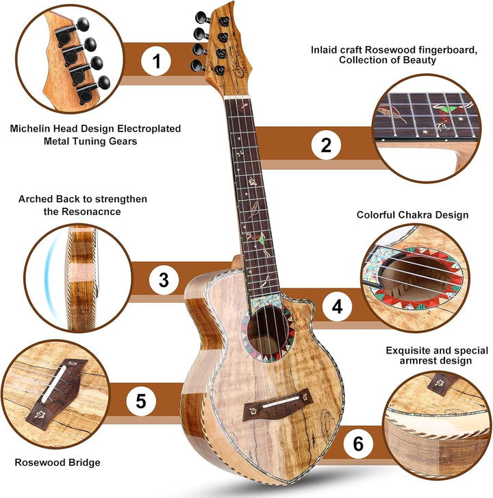 Hricane Konzert Ukulele aus edel hochqualitativ Spalten Ahorn, Professional Ukulelen glatt glänzend