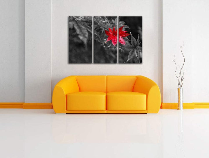 Herbstliches rotes Ahornblatt schwarz/weiss 3-Teiler Leinwandbild 120x80 Bild auf Leinwand, XXL ries
