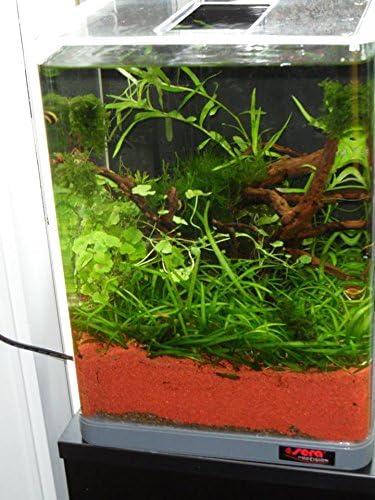 sera Biotop Nano LED Cube 16 - 16 l Süsswasser-Nano-Komplettaquarium mit LED Beleuchtung und