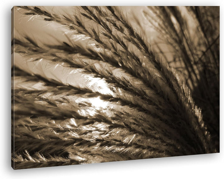 deyoli strahlender Weizen Format: 80x60 Effekt: Sepia als Leinwand, Motiv fertig gerahmt auf Echthol