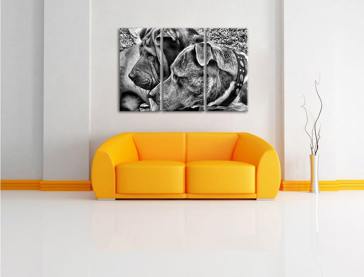Pixxprint Zwei Hunde im Profil als Leinwandbild/Grösse: 3 Teilig (120x80) / Wandbild/Kunstdruck/fert