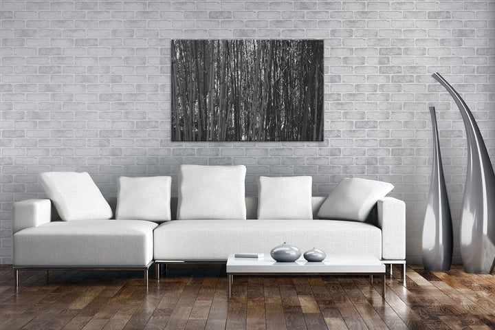deyoli wildwachsender Bambus-Dschungel Effekt: Schwarz&Weiss,Format: 60x40 als Leinwandbild, Motiv f