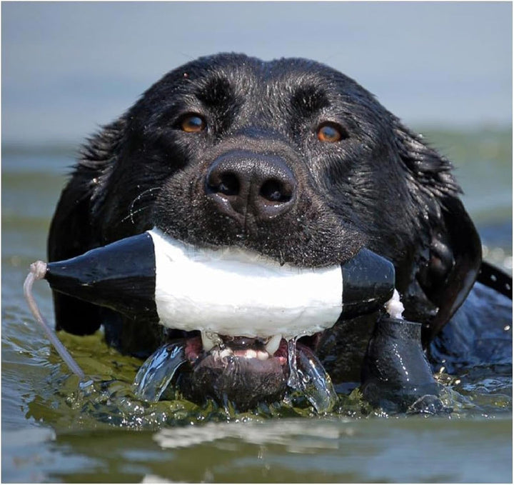 Avery Sporting Dog EZ-Bird, Stockente (Schwarz/Weiss), Apportierdummy, Hundespielzeug, Hundetraining