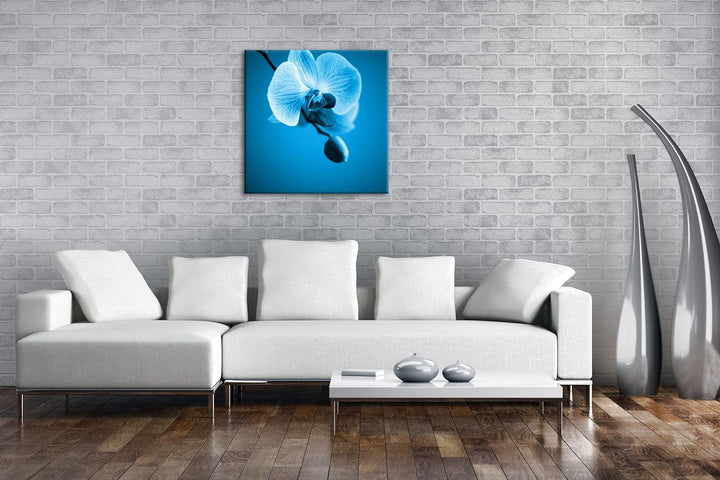 deyoli Zauberhafte Orchidee Format: 70x70 Effekt: Monocrome Blau als Leinwandbild, Motiv fertig gera