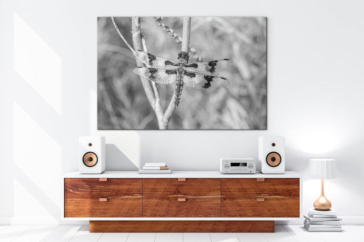 deyoli zauberhafte Drachen Libelle Format: 80x60 Effekt: Schwarz&Weiss als Leinwandbild, Motiv ferti