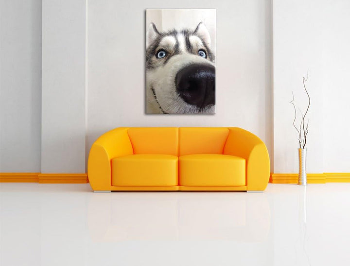 Glücklicher Husky, Format: 100x70 auf Leinwand, XXL riesige Bilder fertig gerahmt mit Keilrahmen, Ku