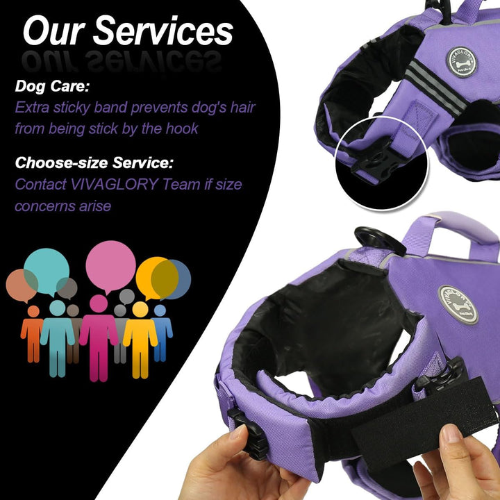 VIVAGLORY Sports Style Schwimmweste Hund, Hundeschwimmweste für Bootfahren, Auftrieb & Schwimmhilfe,