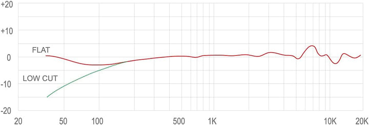 Tascam TM-200G Microphone