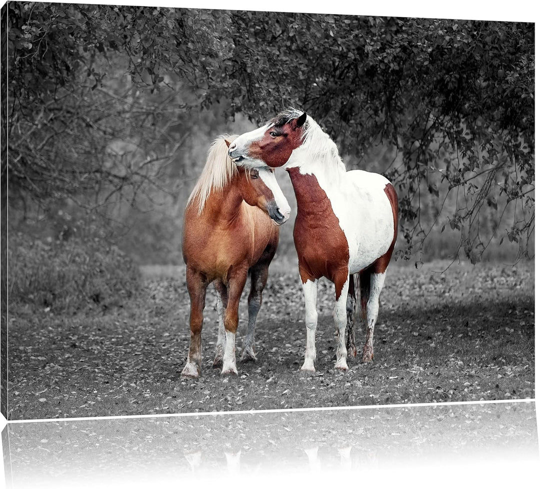 Pixxprint Zwei schmusende Pferde als Leinwandbild/Grösse: 100x70 cm/Wandbild/Kunstdruck/fertig bespa