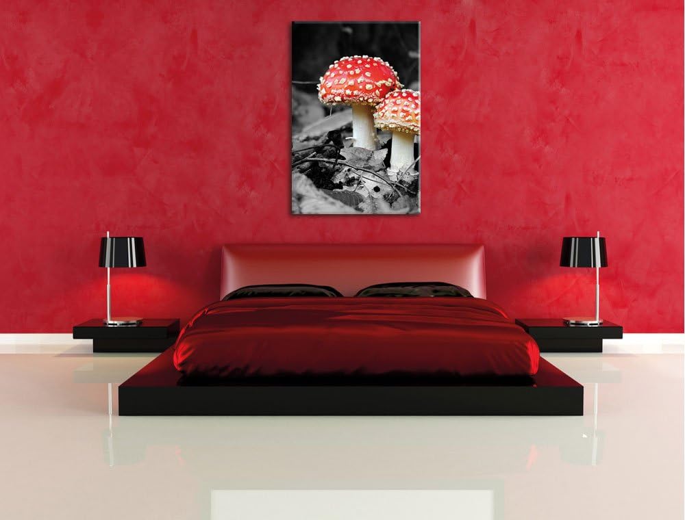 Pixxprint Zwei kleine Fliegenpilze im Wald, Format: 80x120 auf hochkantiges Leinwand, XXL riesige Bi