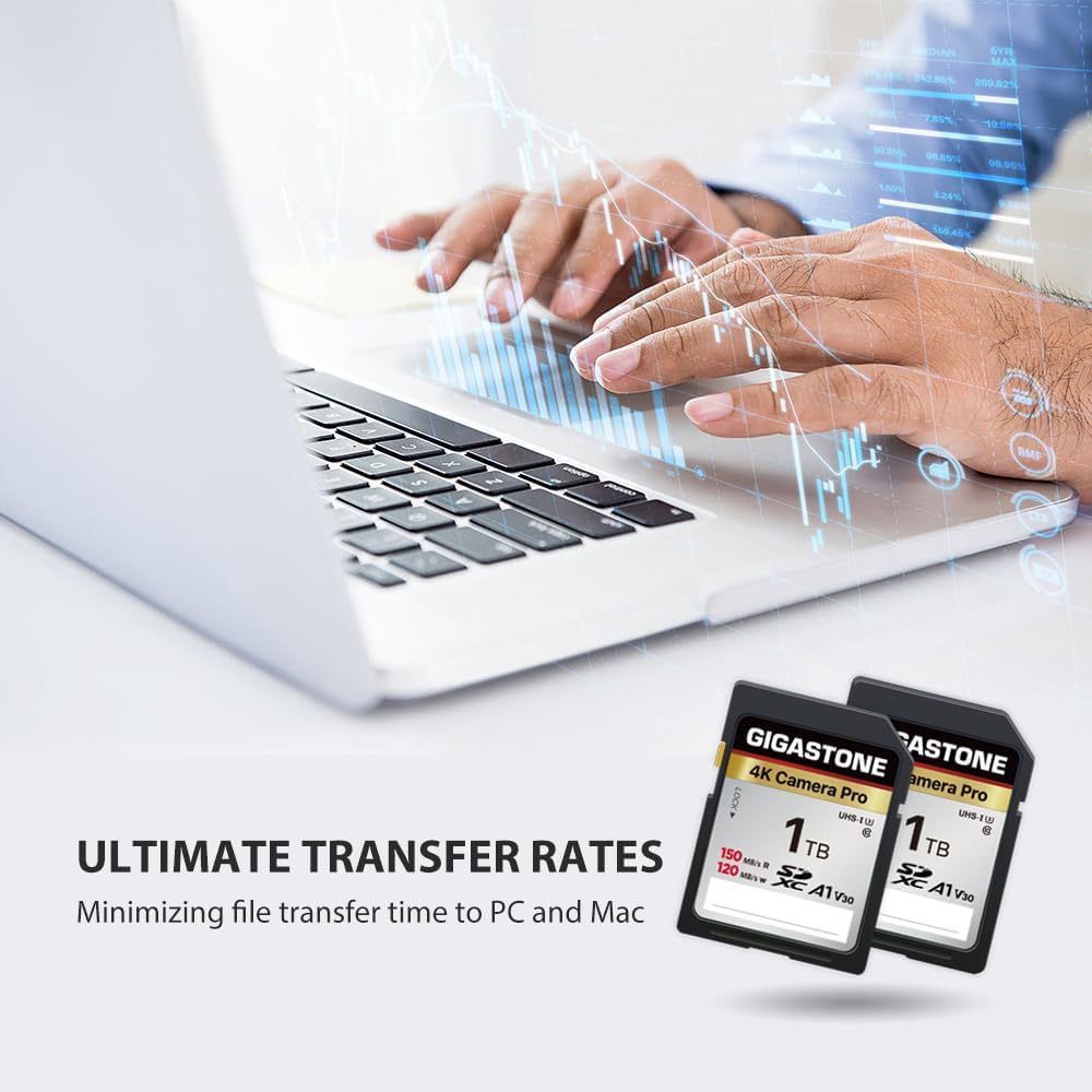 GIGASTONE 1TB SDXC Speicherkarte, 4K Kamera Pro, bis zu 150/120 MB/s, für Digitalkamera Canon, Olymp