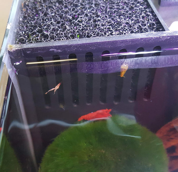 sera Biotop Nano LED Cube 16 - 16 l Süsswasser-Nano-Komplettaquarium mit LED Beleuchtung und