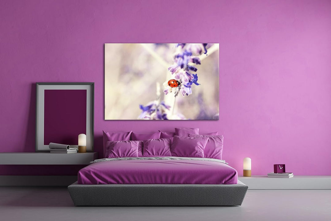 deyoli süsser Marienkäfer auf einem Lavendelzweig Format: 80x60 als Leinwandbild, Motiv fertig gerah
