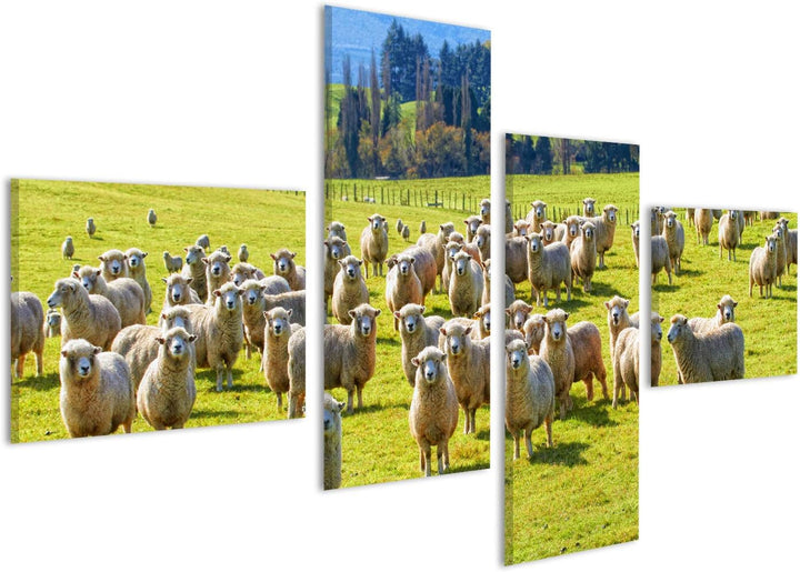 islandburner Bild auf Leinwand EIN Foto Von Einer Herde Von Schafen In Neuseeland Wandbild Poster Ku