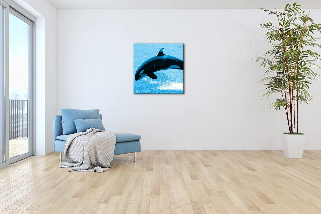 deyoli verspielter Orca Format: 70x70 Effekt: Zeichnung als Leinwandbild, Motiv auf Echtholzrahmen,