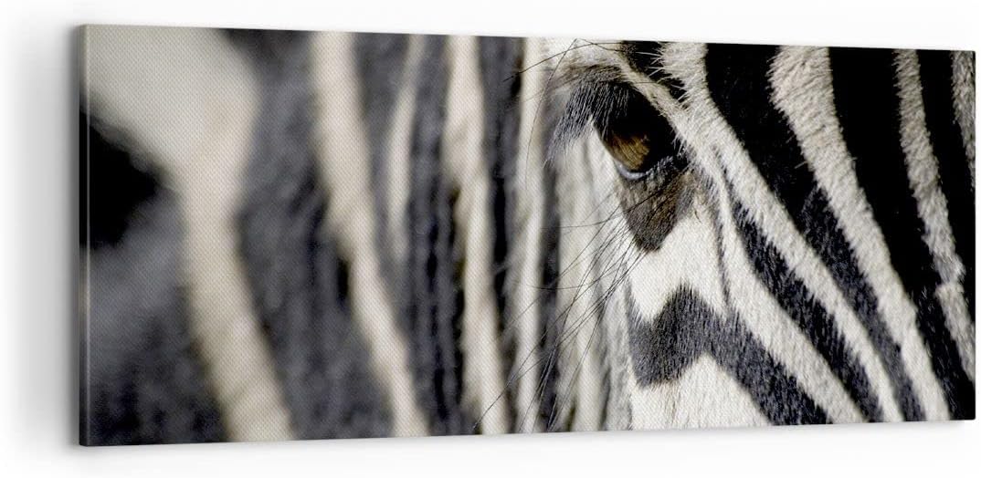 Panorama Bilder auf Leinwand 100x40cm Leinwandbild Zebra Streifen Tierwelt Safari Gross Wanddeko Bil