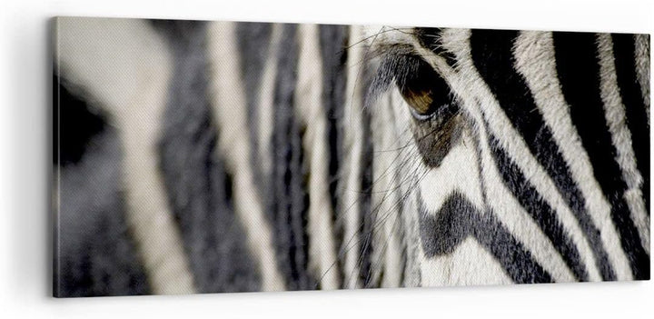 Panorama Bilder auf Leinwand 100x40cm Leinwandbild Zebra Streifen Tierwelt Safari Gross Wanddeko Bil