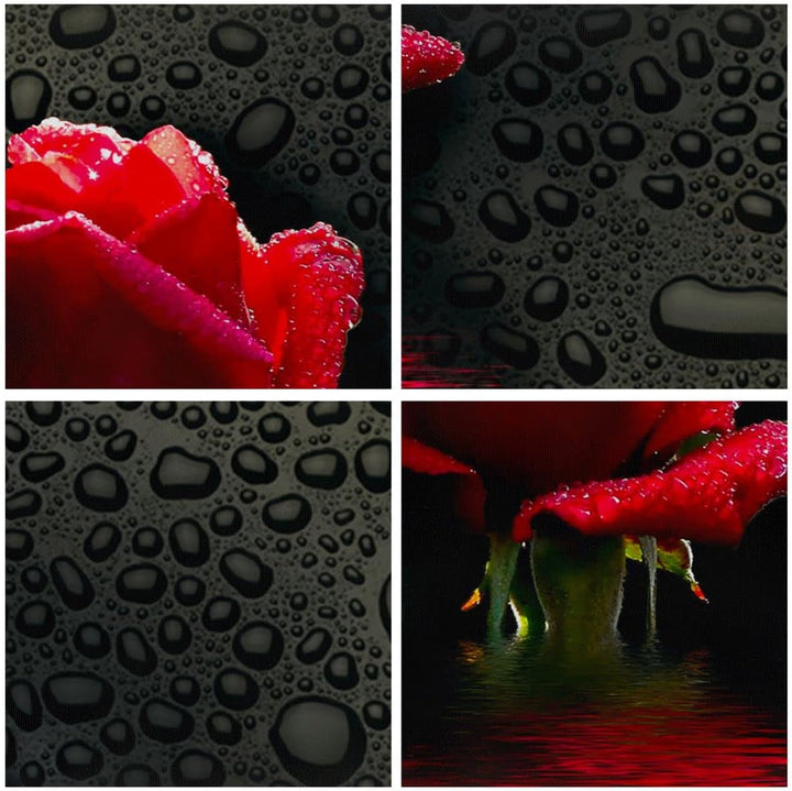 Panorama Bilder auf Leinwand Blume rote rose wasser tau Leinwandbild 90x30cm Wandbilder Dekoration W