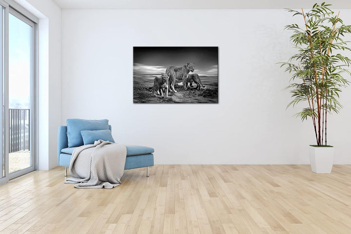 deyoli zauberhafte Löwenfamilie Format: 60x40 Effekt: Schwarz&Weiss als Leinwandbild, Motiv fertig g