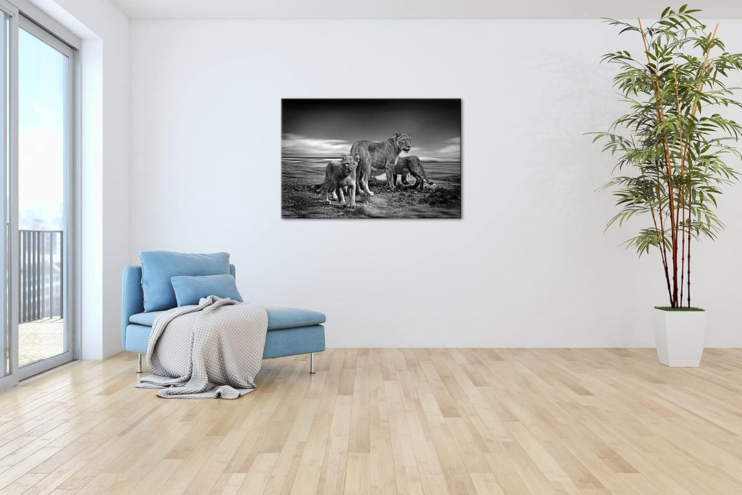deyoli zauberhafte Löwenfamilie Format: 60x40 Effekt: Schwarz&Weiss als Leinwandbild, Motiv fertig g