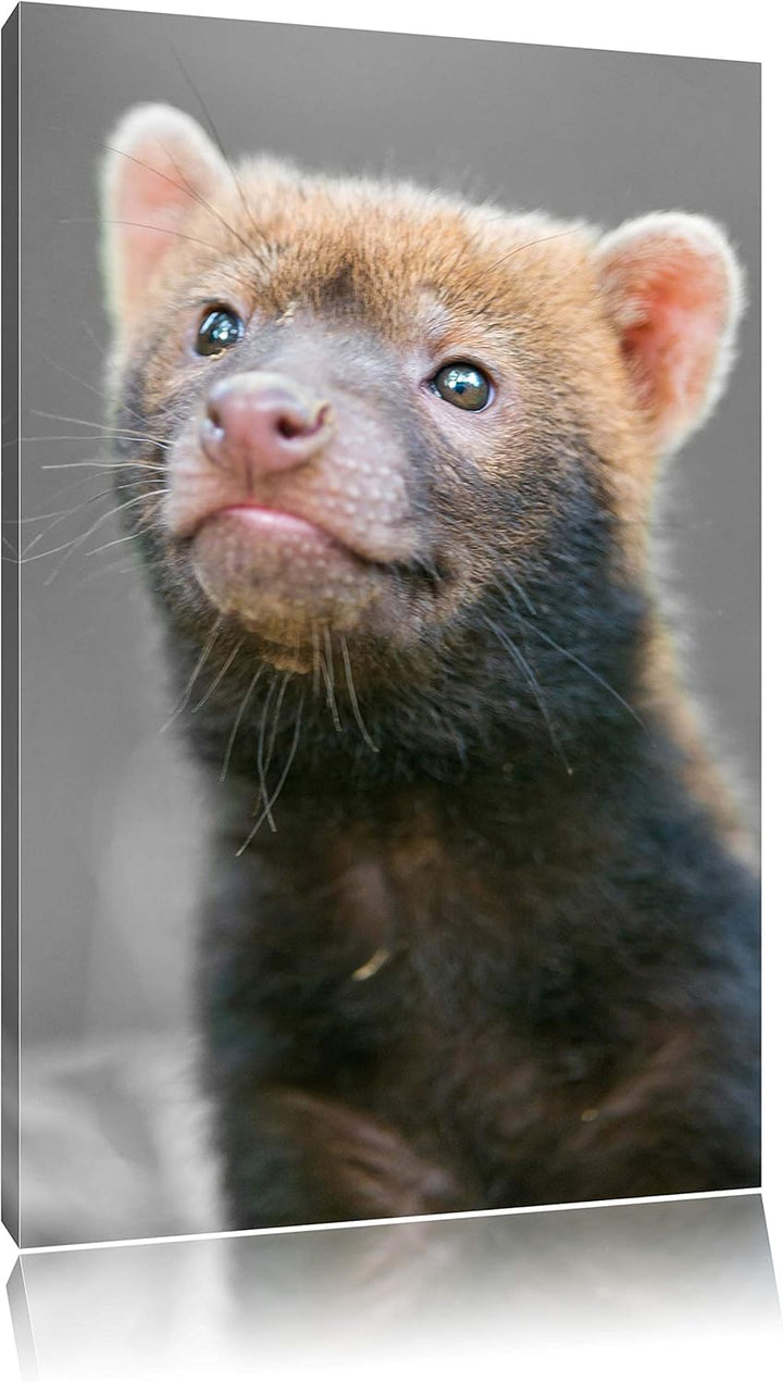 freches kleines Frettchen schwarz/weiss auf Leinwand, XXL riesige Bilder fertig gerahmt mit Keilrahm