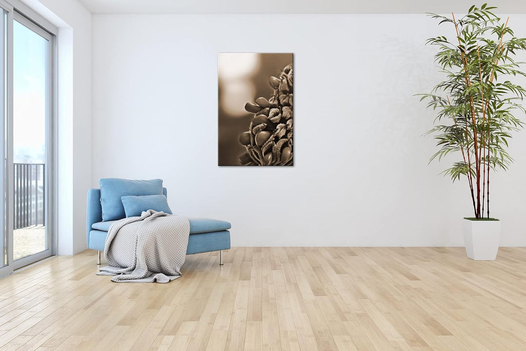 deyoli Südliche Magnolie Stierbucht Format: 80x60 Effekt: Sepia als Leinwandbild, Motiv fertig gerah