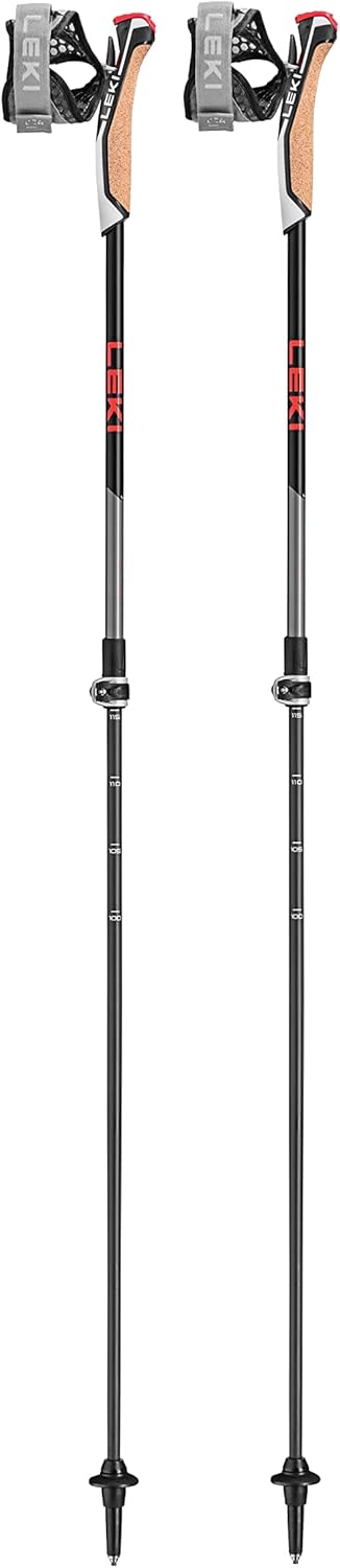 LEKI Instructor Lite Stöcke dark anthracite-silvergray, dark anthracite-silvergray