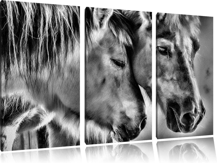 Pixxprint Zwei liebevolle Pferde als Leinwandbild/Grösse: 3 Teilig (120x80) cm/Wandbild/Kunstdruck/f