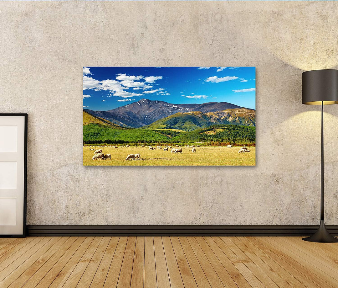 islandburner Bild auf Leinwand Berglandschaft Mit Grasenden Schafen In Neuseeland Bilder Wandbilder