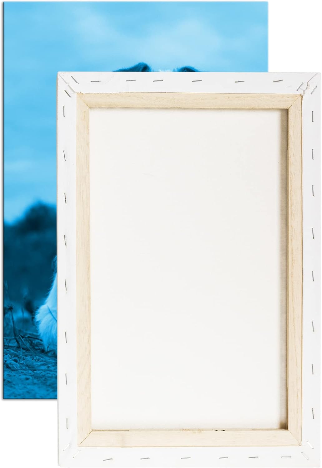 deyoli süsser Jack Russell Terrier Format 80x60 Effekt: Monocrome Blau als Leinwandbild, Motiv ferti